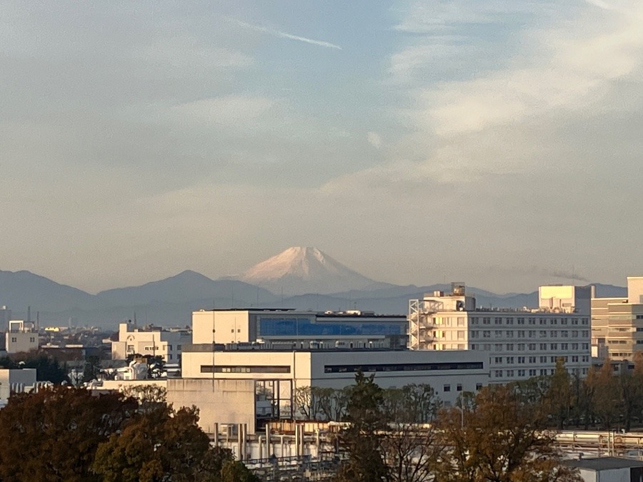 今朝の富士山