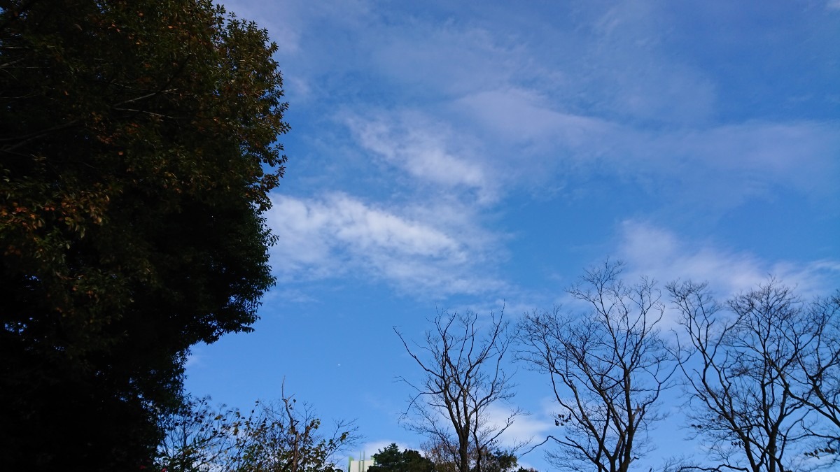 公園から撮った風景🌬️