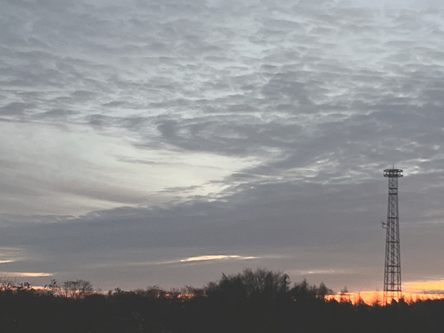 【朝の空】