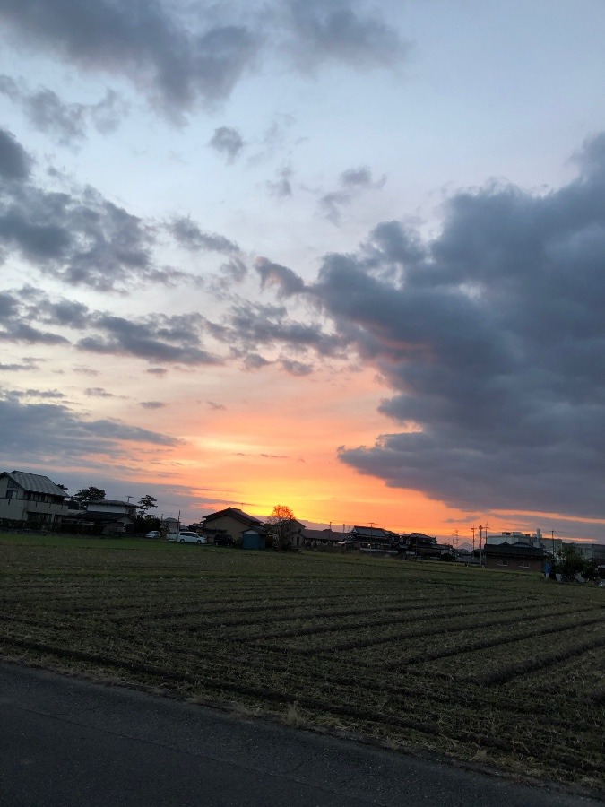 今日の朝陽