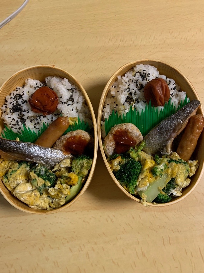 今日のお弁当