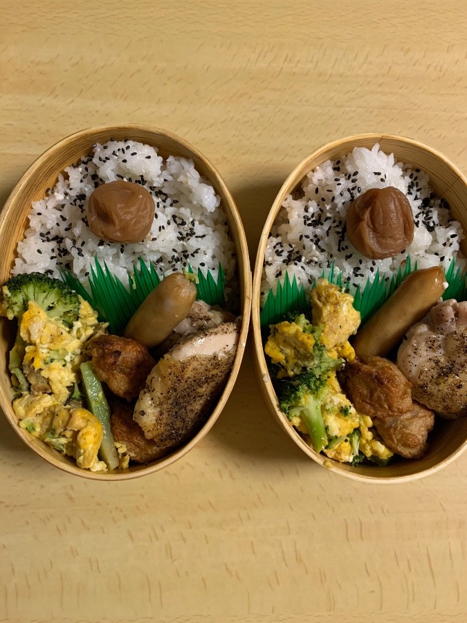 今日のお弁当