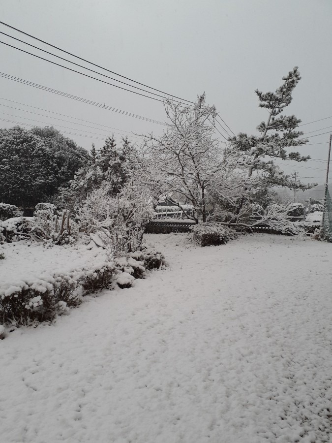ここは雪国？
