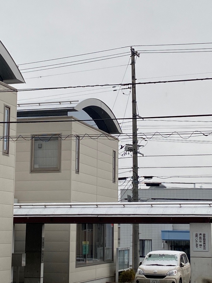 おはよう　❗️雪❄️❄️❄️