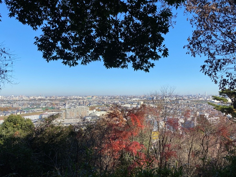 見晴らし台到着