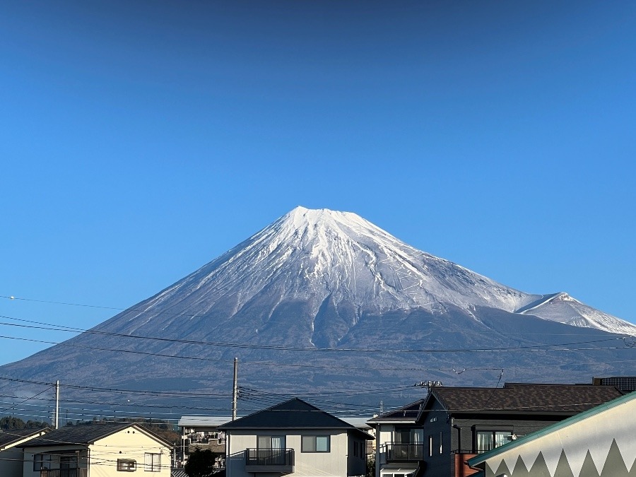 雪化粧したようです