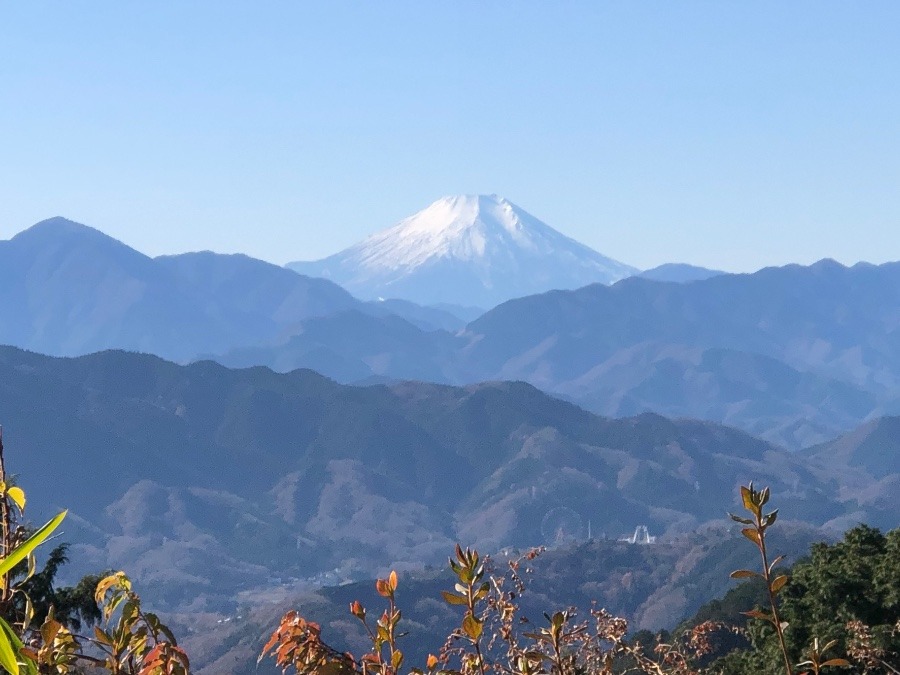 山歩き　初冬の高尾山