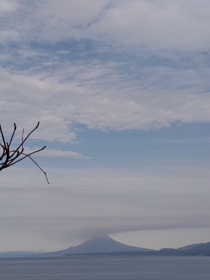 桜島🌋風に凪がされて…