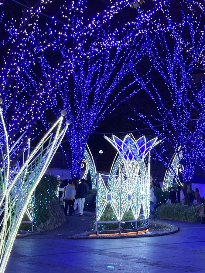 博多駅イルミネーション　素敵