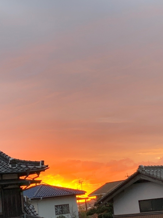 今朝の空