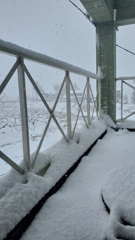 すっかり雪国‼️どうやらソフト路線の戒厳令⁉️ホワイトクリスマスを楽しんでね❤️