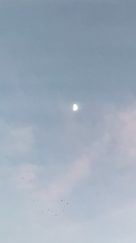 夕空とお月さま〜🌓✨