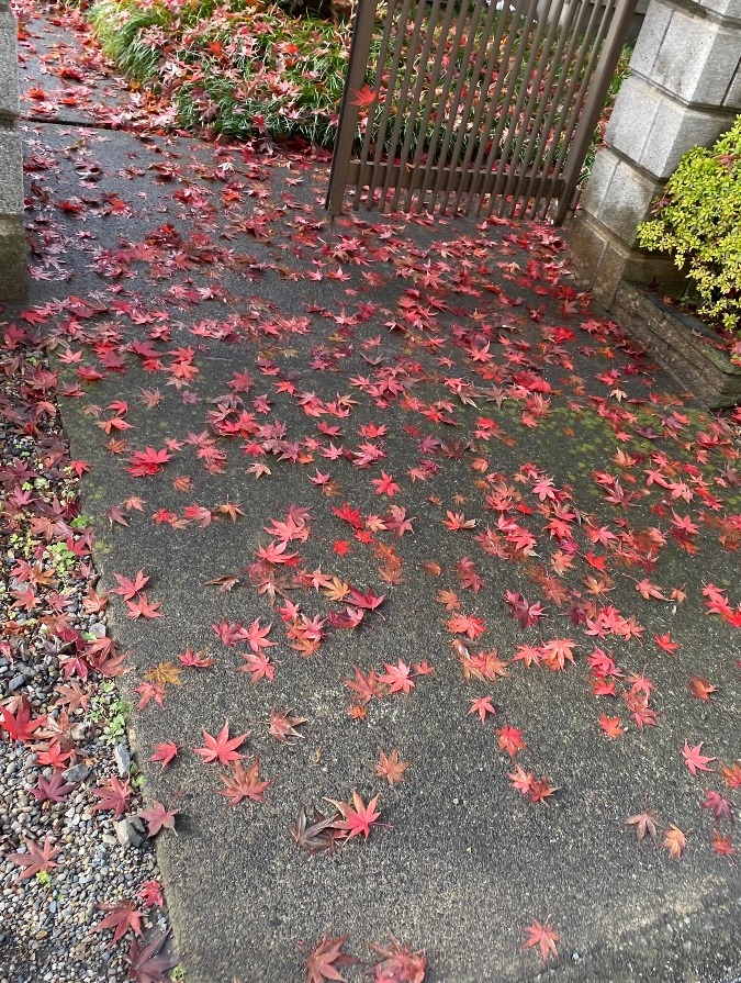 雨上がりの道12.6