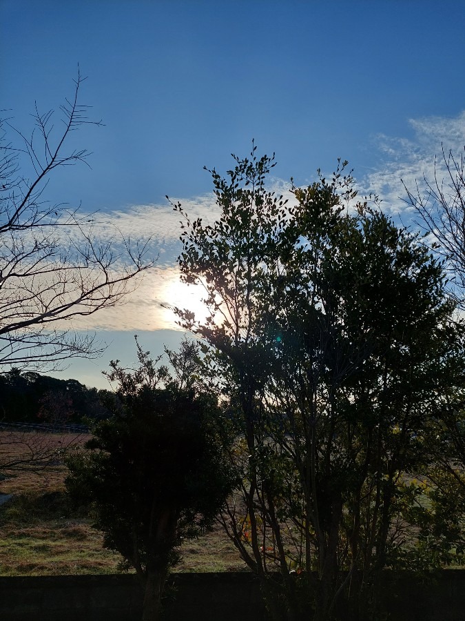 朝空12/29