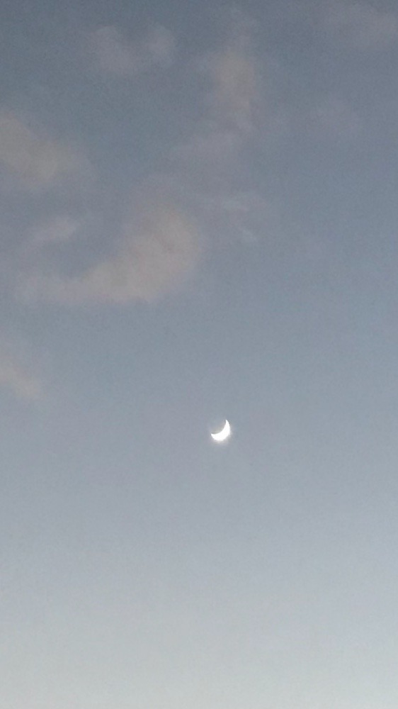 今日のお月さま〜🌛