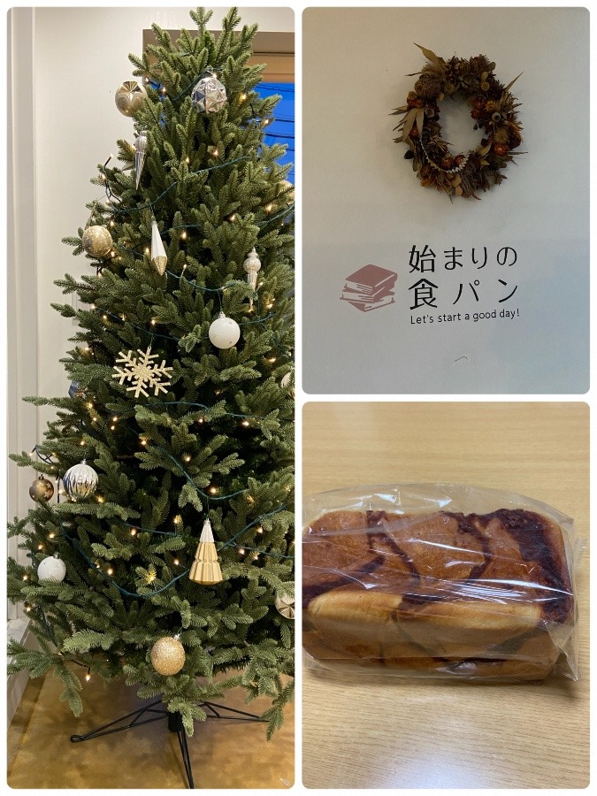 パン屋さんのクリスマスツリー🎄