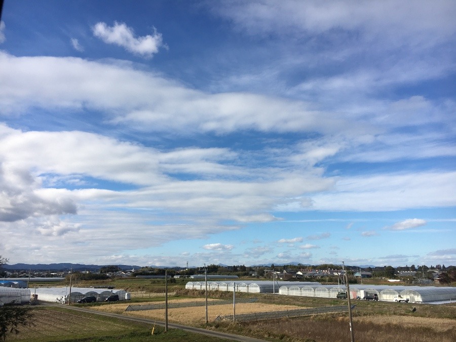 ⭕️空部→ 今日の空（≧∇≦）‼️310.