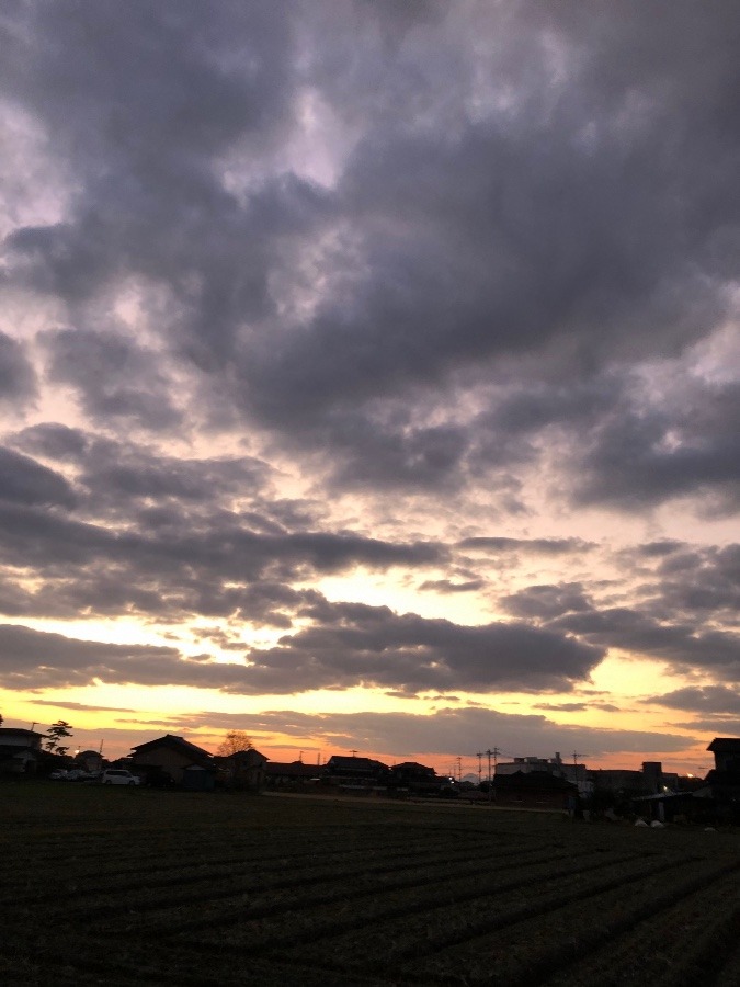 今日の空