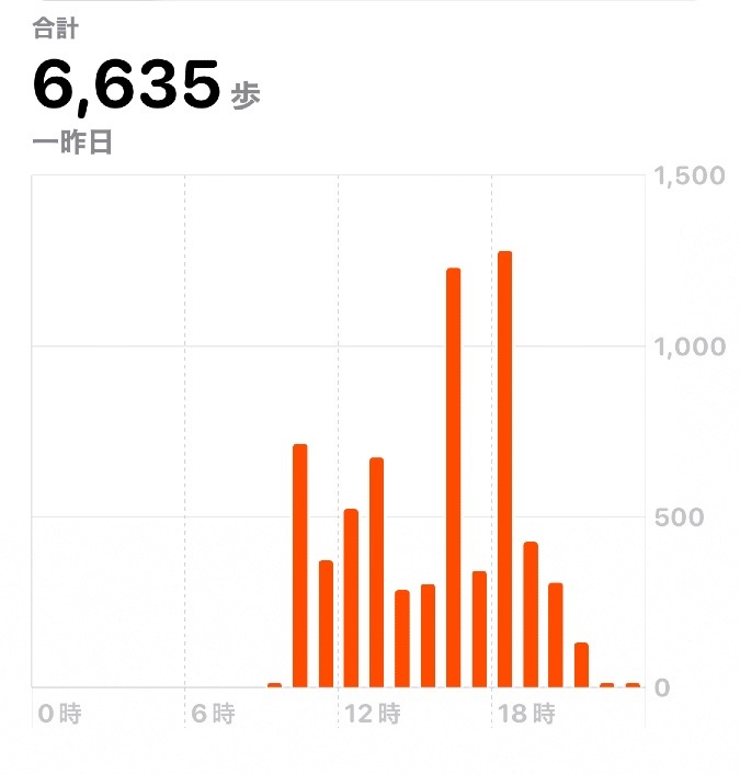 6635歩　ウォーキング12/22