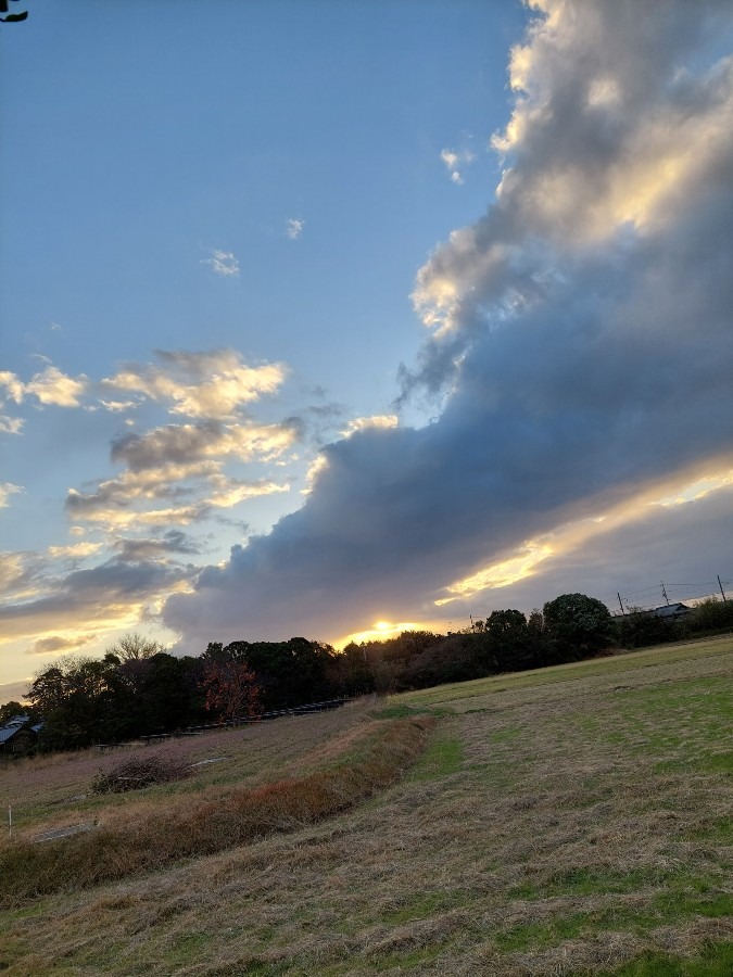 朝空12/14