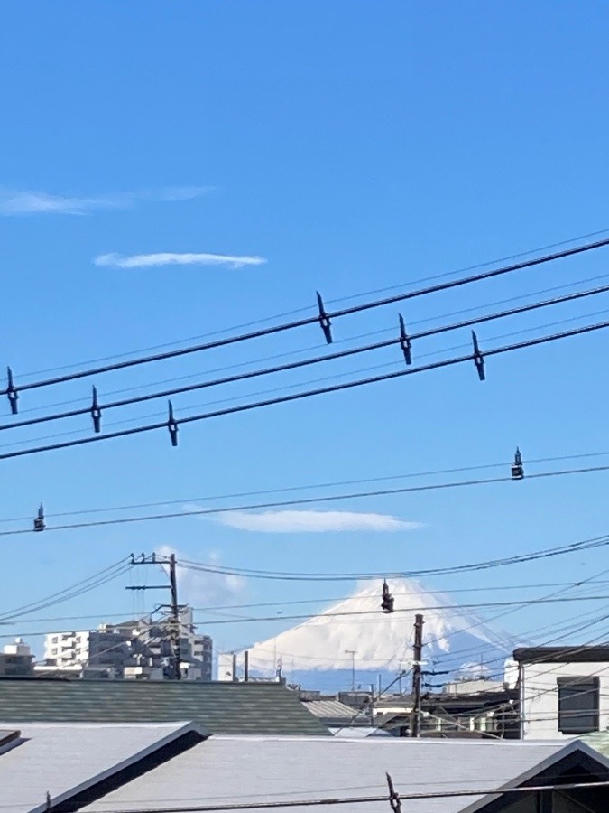 雪化粧の富士山✨