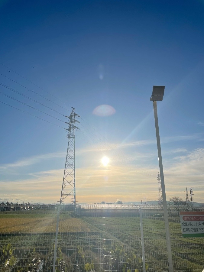 今日の岡崎