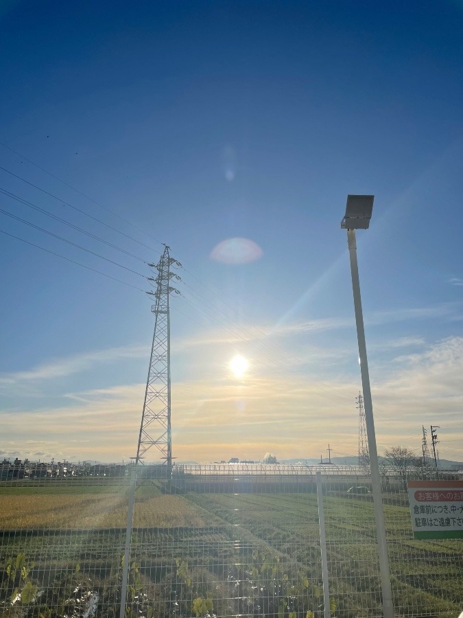 今日の岡崎