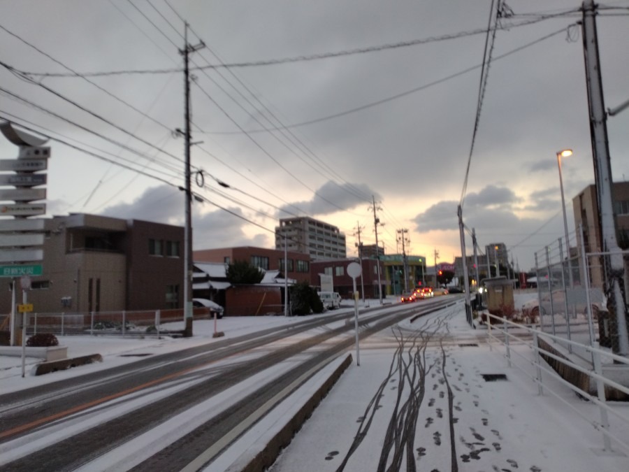 朝の道路状態😼