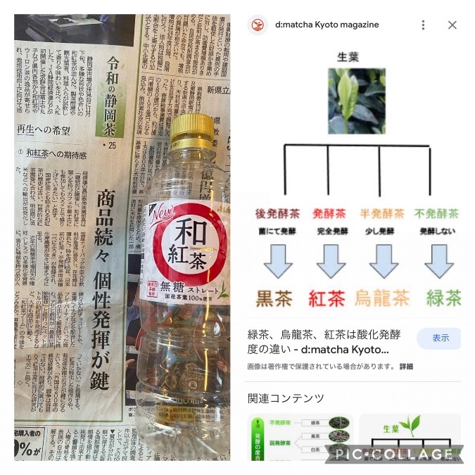 発酵食品人気、和紅茶ブーム来てます！