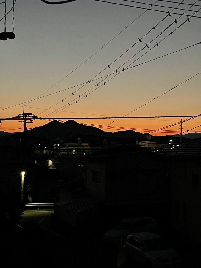 おはようございます♪( ´▽｀)