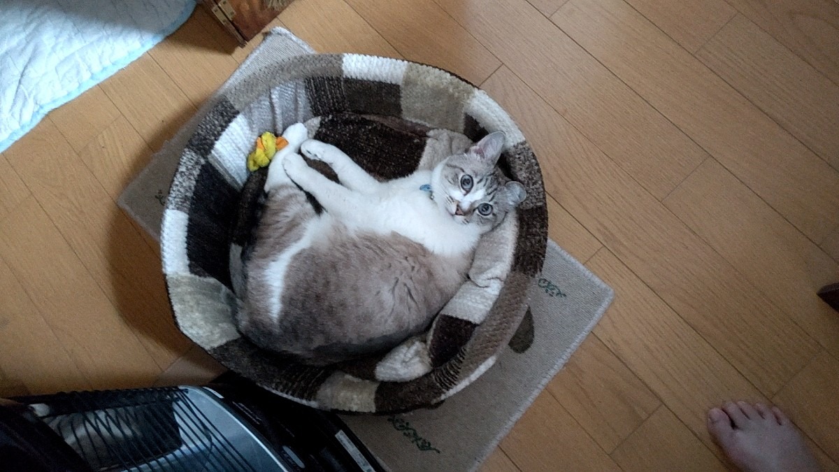 暖かいなぁ。