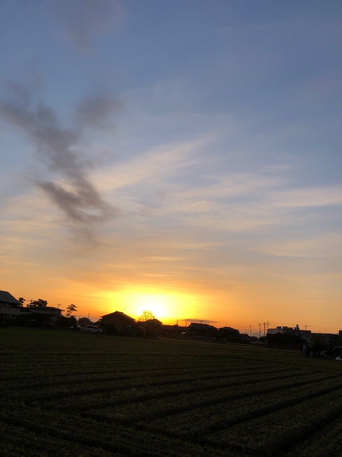 今日の朝陽