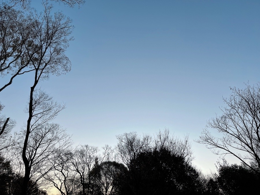 【朝の空】