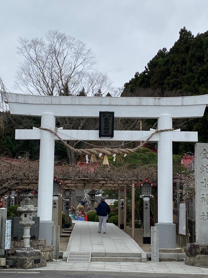 神社詣り⛩⛩⛩