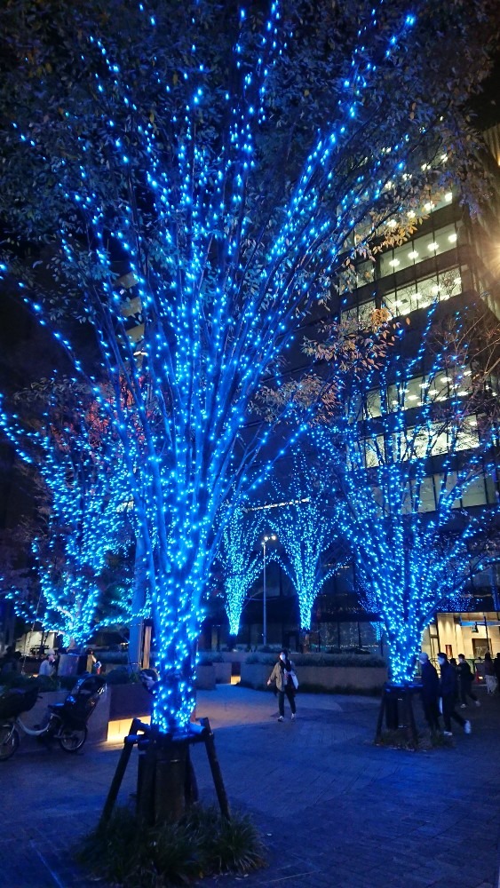 昨日の素敵なイルミネーション✨🎄✨✨🎄✨