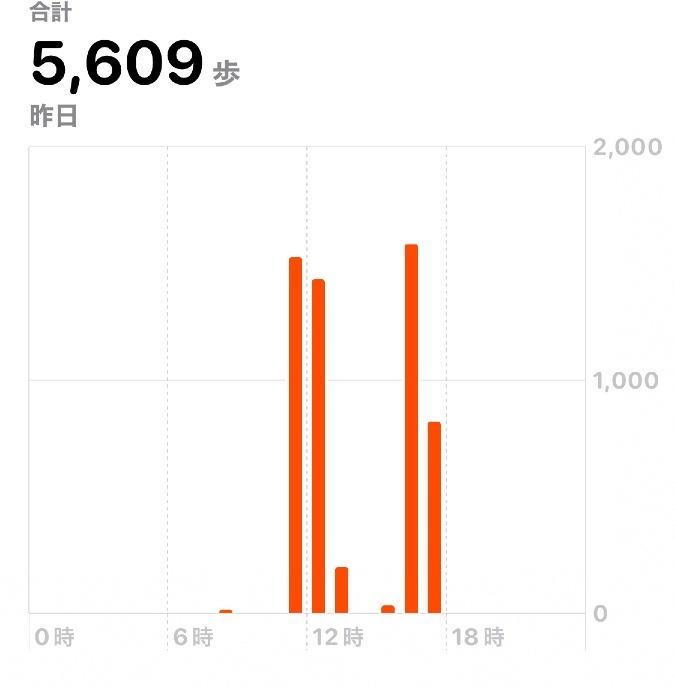 5609歩　ウォーキング12/7