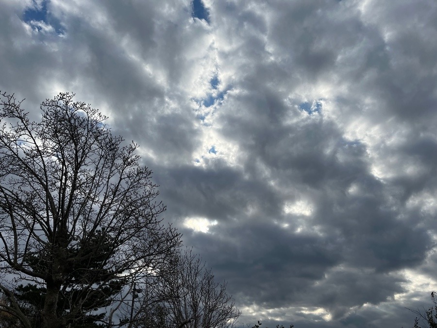 今朝の空