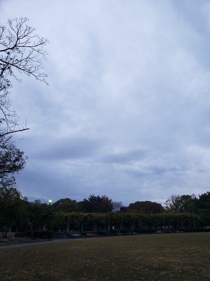 今日の空－12月4日