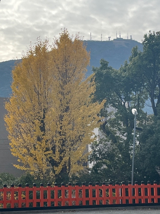 豊山八幡神社②