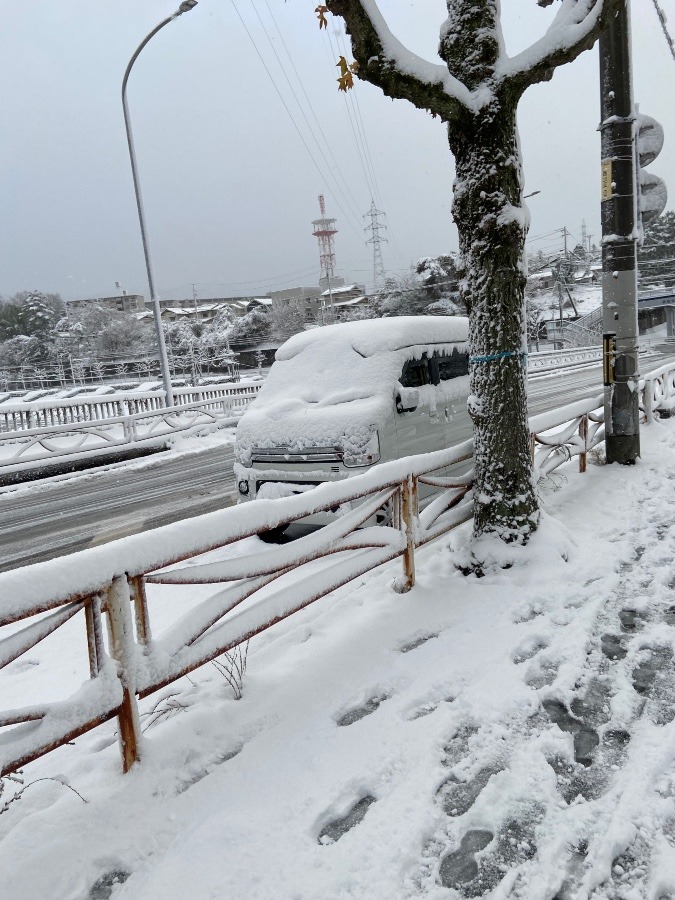 残された車〜今朝