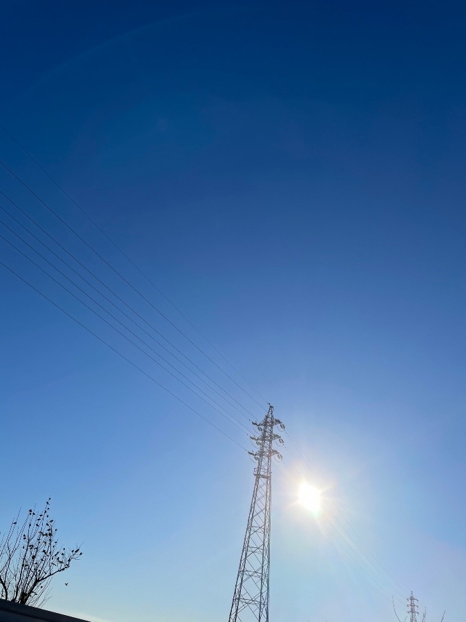 今日の岡崎