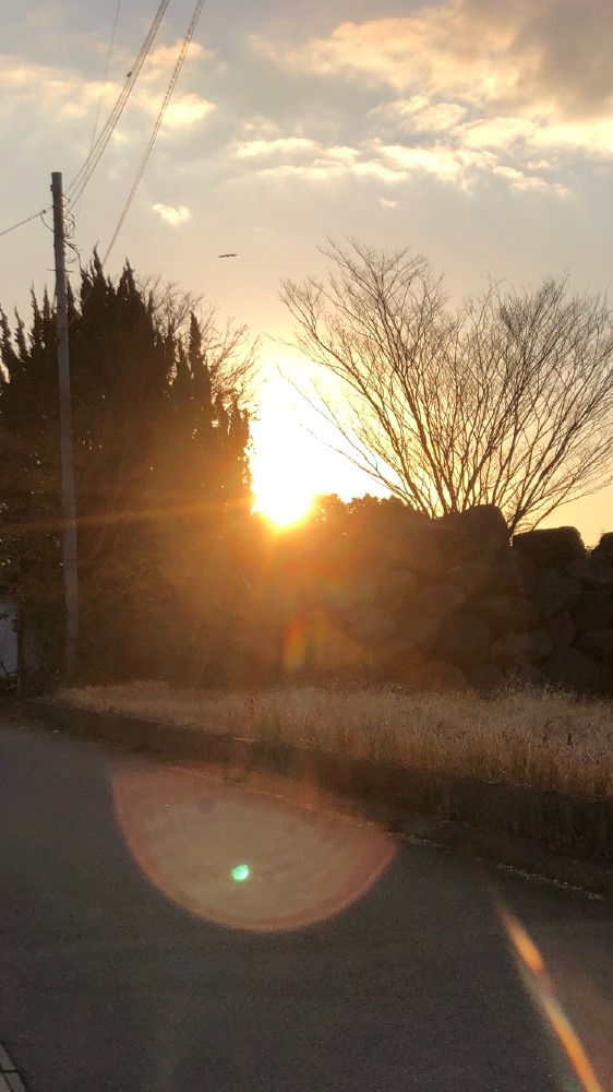 眩しい❣️