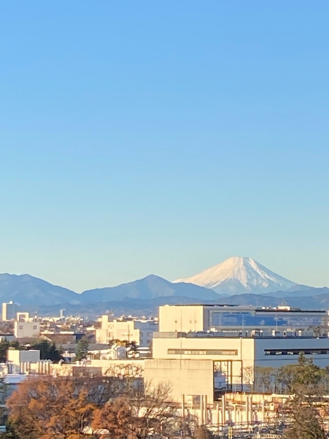 今朝の富士山