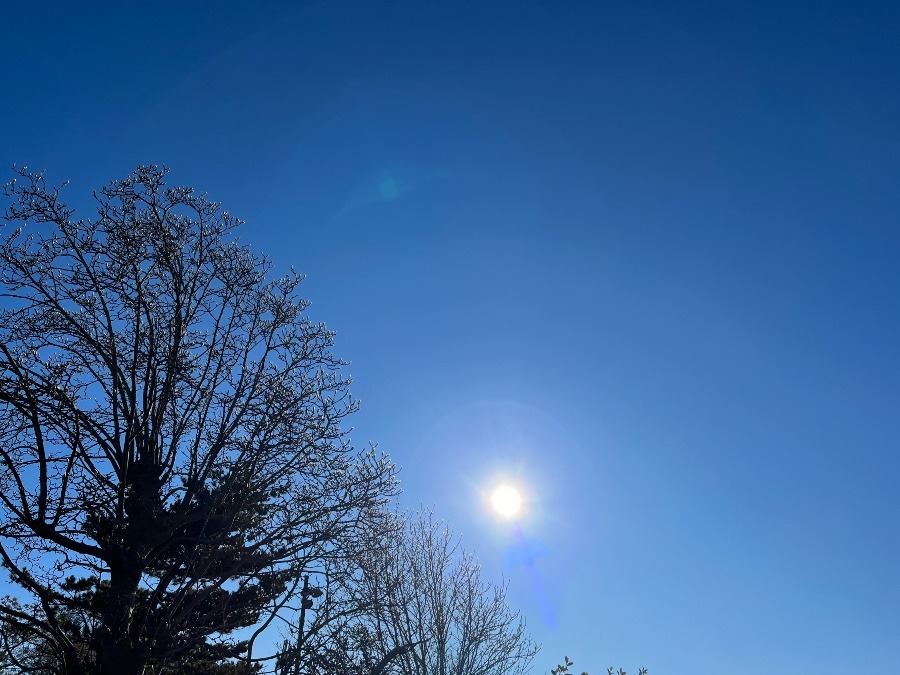 今朝の空