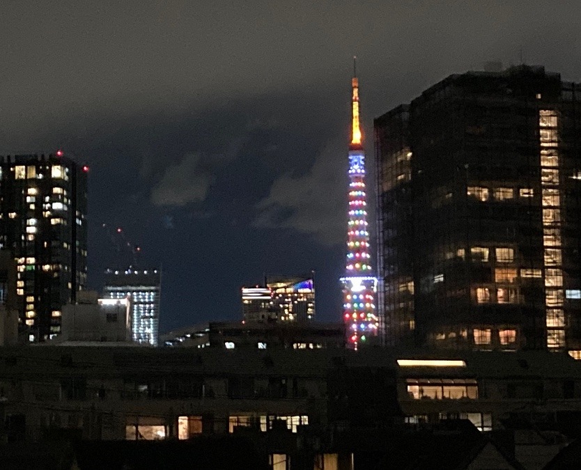 今日の東京タワー🗼