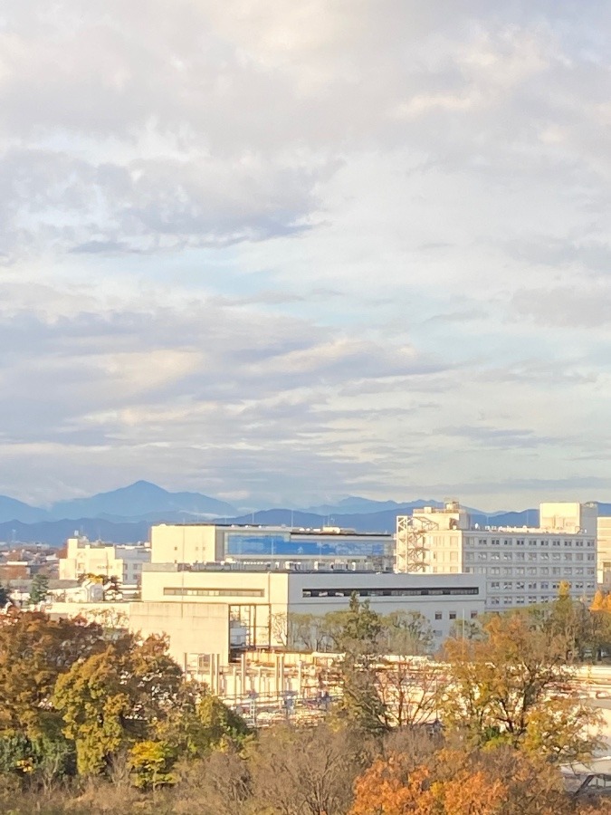 今朝の富士山