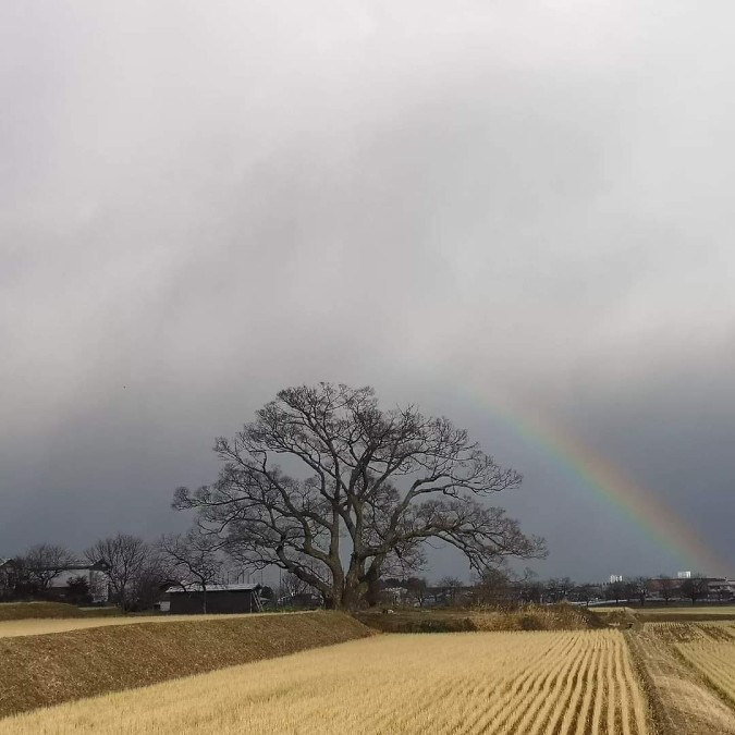 にじ～🌈(^。^)y