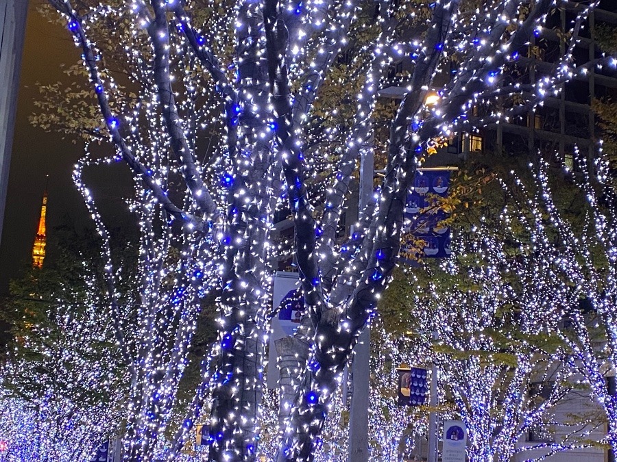 東京タワーが小さすぎ…💦