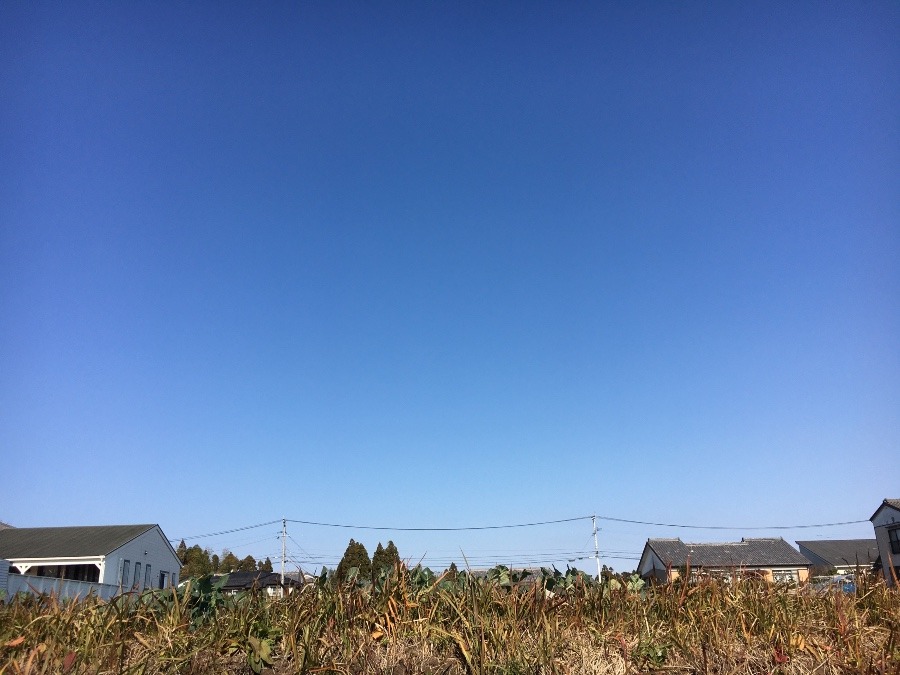 ⭕️空部→ 今日の空（≧∇≦）‼️322.