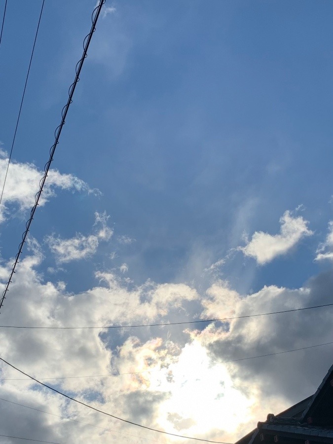 今朝の冬空🍁🌥